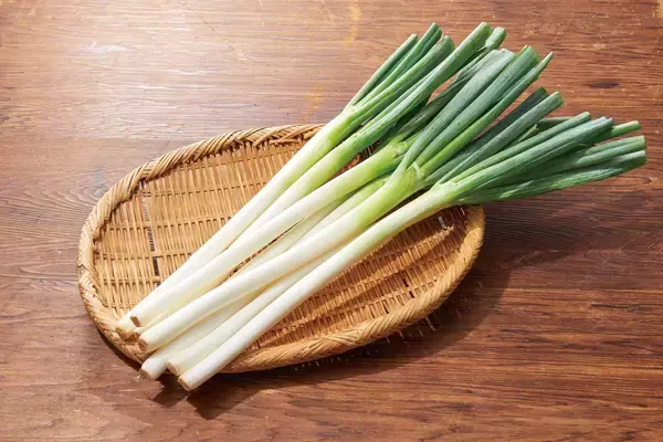 「【しゃぶしゃぶ温野菜】8月31日の「野菜の日」にちなんで食べ放題が「831円」OFF！10日間だけのおトクなキャンペーンを実施」の画像