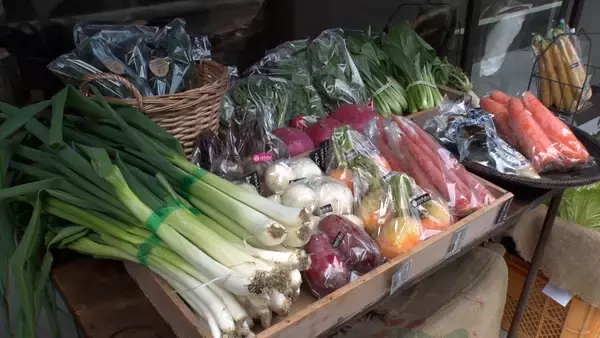 「【LIFE～夢のカタチ～】京都・西陣の古い町家をアトリエに、お弁当を作る料理家！」の画像