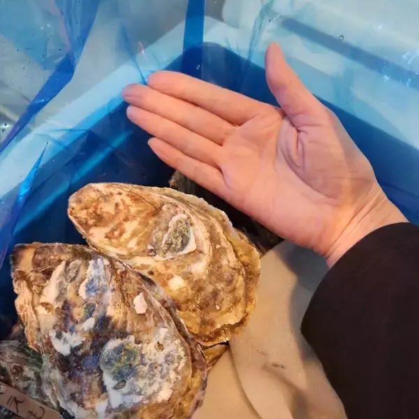 「大学近辺の飲食店とコラボして下町フードスケープを盛り上げる企画！まちと人をつなぐイベント「新春 牡蠣びらき」を開催」の画像