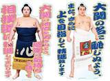「「大相撲EXPO 京王新宿場所」を京王百貨店で初開催します」の画像11