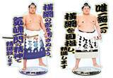 「「大相撲EXPO 京王新宿場所」を京王百貨店で初開催します」の画像6