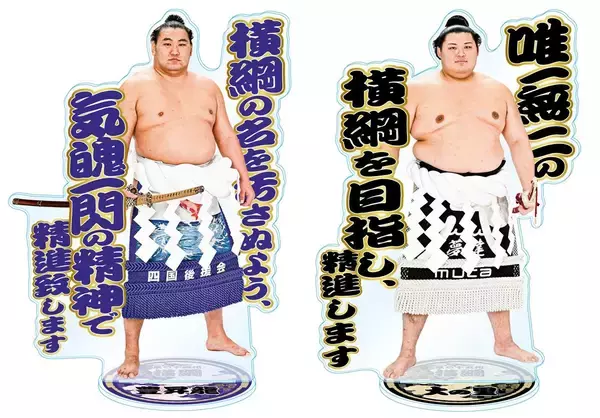 「「大相撲EXPO 京王新宿場所」を京王百貨店で初開催します」の画像