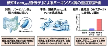 パーキンソン病の進行度を便から推定する腸内細菌遺伝子マーカーを世界で初めて発見