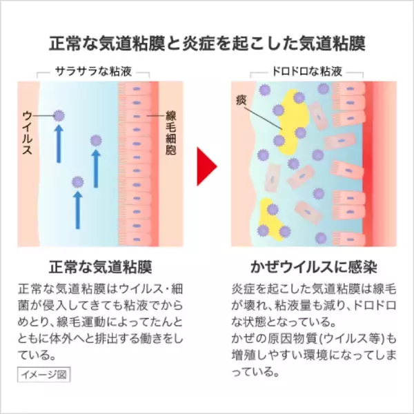 「受験ピーク！かぜ対策に、“早めのパブロン”！家庭の常備薬「パブロンSゴールドW」をご紹介」の画像