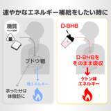 「走る燃料に新しい常識を。糖に頼らないエネルギー源。TIGORA「マラソン直前にこそ飲みたい天然由来ケトン体D-BHB」をスポーツデポ限定店舗、マラソン大会EXPO会場にて新発売」の画像3