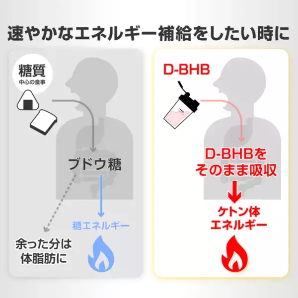 「走る燃料に新しい常識を。糖に頼らないエネルギー源。TIGORA「マラソン直前にこそ飲みたい天然由来ケトン体D-BHB」をスポーツデポ限定店舗、マラソン大会EXPO会場にて新発売」の画像