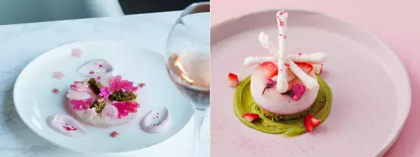 【東京ミッドタウン】桜舞う東京ミッドタウンに、春を感じるグルメが勢ぞろい！「Spring Gourmet」本日からスタート