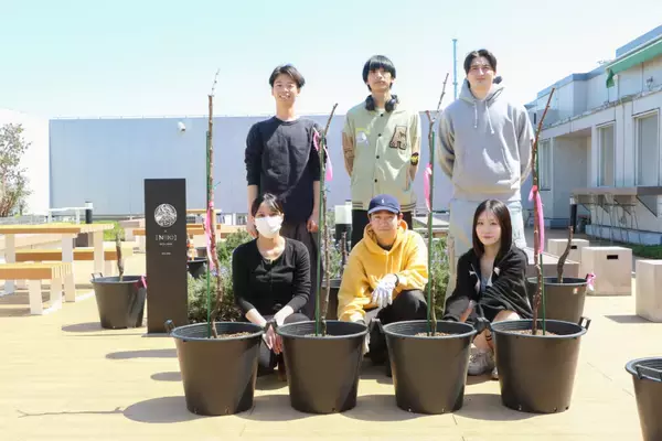 文京区“葡”京区化計画、始動！都心キャンパス屋上で醸造用ブドウ栽培に挑戦