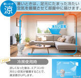 「一年中大活躍！お手入れも簡単なサーキュレーターがe angleより登場」の画像3