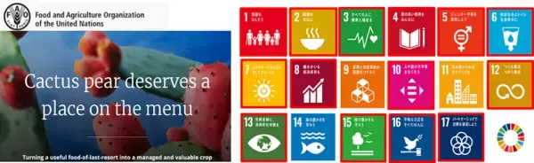 「中部大学 サボテン・多肉植物研究センターを新設---脱炭素技術や持続可能な食料・飼料生産システムを開発、「持続可能な社会」実現へ---」の画像