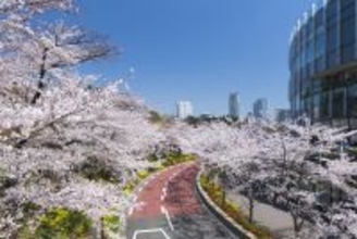東京ミッドタウンで春を満喫　都心で楽しむ桜並木と花×アート「MIDTOWN BLOSSOM 2026」開催