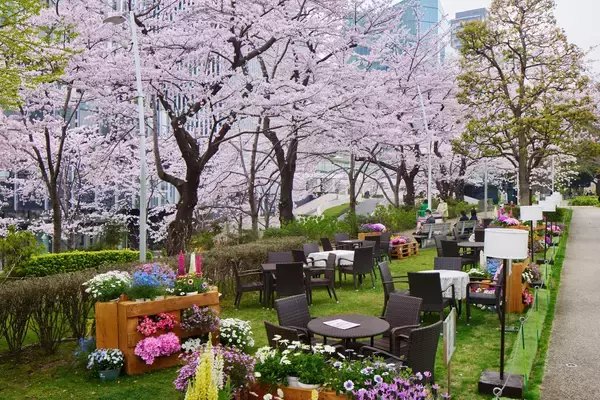 「東京ミッドタウンで春を満喫　都心で楽しむ桜並木と花×アート「MIDTOWN BLOSSOM 2026」開催」の画像