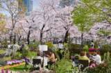 「東京ミッドタウンで春を満喫　都心で楽しむ桜並木と花×アート「MIDTOWN BLOSSOM 2026」開催」の画像3