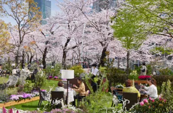 「東京ミッドタウンで春を満喫　都心で楽しむ桜並木と花×アート「MIDTOWN BLOSSOM 2026」開催」の画像