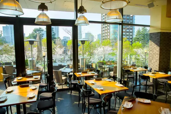 「東京ミッドタウンで春を満喫　都心で楽しむ桜並木と花×アート「MIDTOWN BLOSSOM 2026」開催」の画像