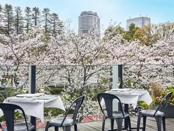 「東京ミッドタウンで春を満喫　都心で楽しむ桜並木と花×アート「MIDTOWN BLOSSOM 2026」開催」の画像