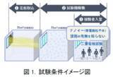 「世界初※1花粉症状のヒト臨床試験でナノイー（帯電微粒子水）技術の有用性を実証」の画像4
