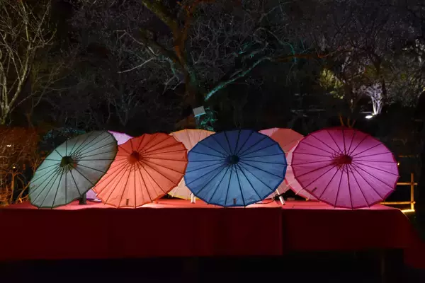 「京王百草園で恒例の「梅まつり」を２月７日（土）から開催します！」の画像