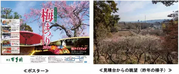 「京王百草園で恒例の「梅まつり」を２月７日（土）から開催します！」の画像