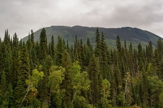 厳格なガバナンスと国際的枠組みによって裏付けられた、カナダの森林管理と林産品生産の信頼性