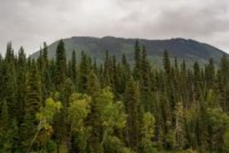 厳格なガバナンスと国際的枠組みによって裏付けられた、カナダの森林管理と林産品生産の信頼性