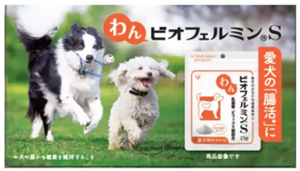 「わんビオフェルミンS」、「にゃんビオフェルミンS」を東海地区最大級のペットイベント「わんにゃんドーム2026」に初出展