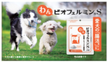 「わんビオフェルミンS」、「にゃんビオフェルミンS」を東海地区最大級のペットイベント「わんにゃんドーム2026」に初出展