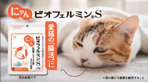 「「わんビオフェルミンS」、「にゃんビオフェルミンS」を東海地区最大級のペットイベント「わんにゃんドーム2026」に初出展」の画像