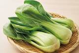 「しゃぶしゃぶ温野菜から、“新化系”麻辣湯が登場！ 昨年好評の「旨辛 麻辣湯しゃぶ」が復活。トマト×バジルの「イタリアン麻辣湯」や「スパイシートマト麻辣湯」「ニラ醬麻辣湯」など、アレンジ無限大」の画像10