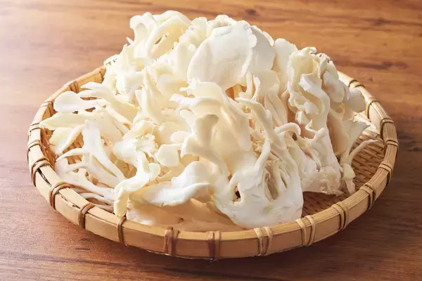 「しゃぶしゃぶ温野菜から、“新化系”麻辣湯が登場！ 昨年好評の「旨辛 麻辣湯しゃぶ」が復活。トマト×バジルの「イタリアン麻辣湯」や「スパイシートマト麻辣湯」「ニラ醬麻辣湯」など、アレンジ無限大」の画像