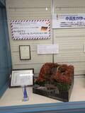 「白梅学園清修中高一貫部鉄道模型デザイン班の作品が東武博物館で6月21日まで展示中 ― 世界大会で最優秀賞を獲得した「愛され続ける日光軌道」」の画像1