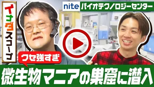 「NITEバイオテクノロジーセンター、伝統の酒まんじゅうの発酵に関与する微生物の提供を開始」の画像