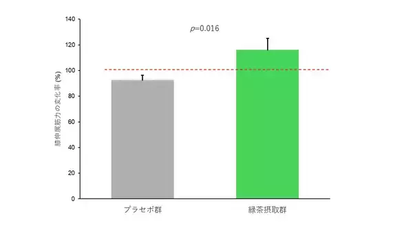 継続的な緑茶カテキンの摂取と日常生活で実施可能な運動の併用により、筋力が維持される可能性を確認