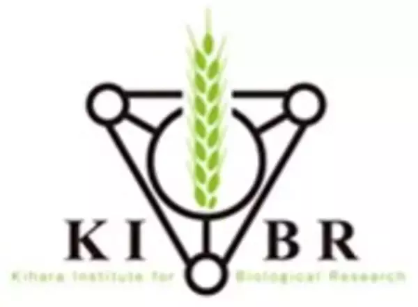 「植物の精細胞が「一皮むけた」瞬間を撮影」の画像