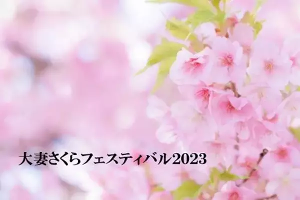 大妻女子大学が3月18日に地域貢献・学術交流イベント「大妻さくらフェスティバル2023」を4年ぶりに対面で開催 -- 創立者・大妻コタカに関する展示や「千代田学」のポスター展示などを実施