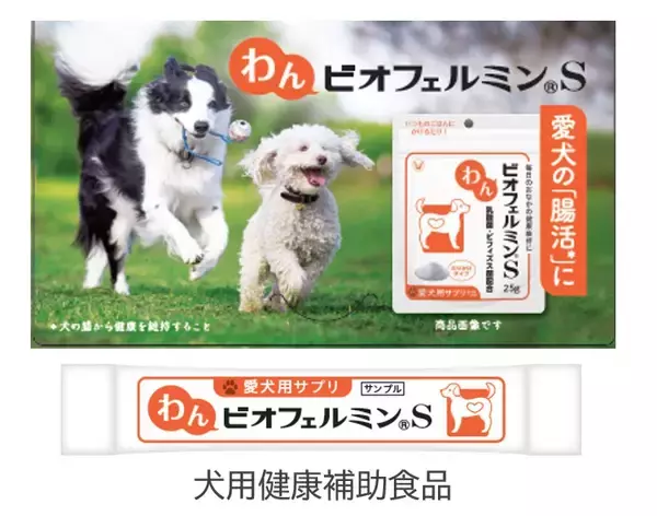 「ペット博横浜に「わんビオフェルミンS・にゃんビオフェルミンS」を出展～ペットの健康維持、おなかから支えるビオフェルミンの新しい挑戦～」の画像