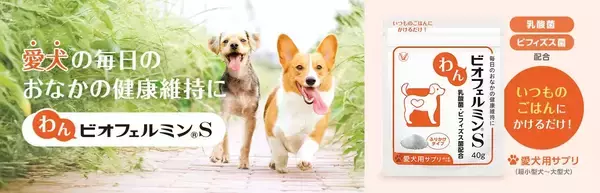 「ペット博横浜に「わんビオフェルミンS・にゃんビオフェルミンS」を出展～ペットの健康維持、おなかから支えるビオフェルミンの新しい挑戦～」の画像