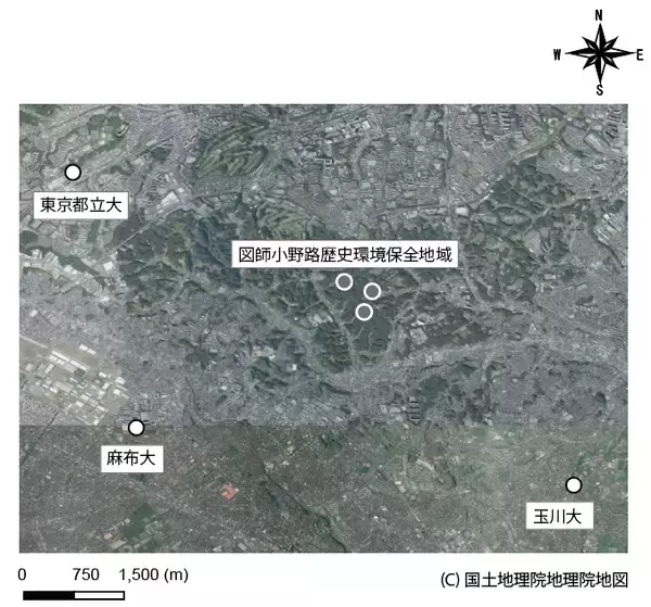 「【玉川大学農学部　関川清広教授 共同研究成果】都市ではセミが夜にも鳴く？ 自動録音装置を用いた連続観測で、都市域ではセミが鳴く時間を変化させていることを確認」の画像