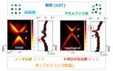 「物質の相転移を用いて、光のトポロジカル相転移を世界で初めて実現 ～オンデマンドに再構成可能な新機能光集積回路につながる新しい光制御の開拓～」の画像5