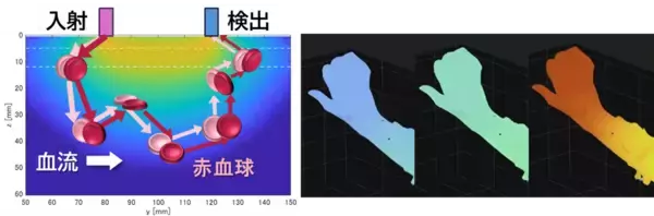 「理工学部 小野弓絵教授の大学発ベンチャーと明治大学が新株予約権を対価とする知的財産権の譲渡契約を締結」の画像
