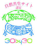 「当社の保有林が環境省「自然共生サイト」に認定」の画像1