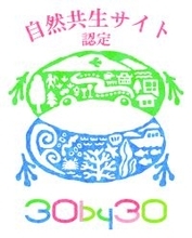 当社の保有林が環境省「自然共生サイト」に認定
