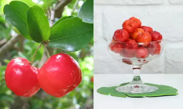 「パーソナル・トレーニングジム TOTAL WorkoutとニチレイフーズがコラボレーションしビタミンC 1000mg配合のパワー&ビタミンチャージドリンクを発売！！」の画像