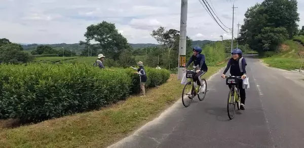 「大学・学生とともにのばす京都プロジェクト成果報告会」にて横山誠ゼミ生が発表～大阪国際大学～