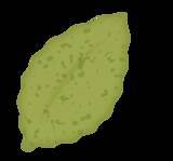 「【万平ホテル】小動物と春の草花が彩る、”花柄メニュー”のクッキー缶第3弾「万平ホテルフラワークッキー缶・春」を発売」の画像14