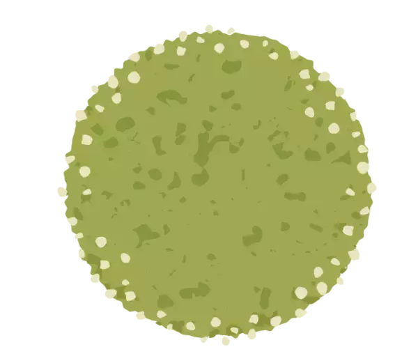 「【万平ホテル】小動物と春の草花が彩る、”花柄メニュー”のクッキー缶第3弾「万平ホテルフラワークッキー缶・春」を発売」の画像