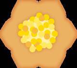 「【万平ホテル】小動物と春の草花が彩る、”花柄メニュー”のクッキー缶第3弾「万平ホテルフラワークッキー缶・春」を発売」の画像8