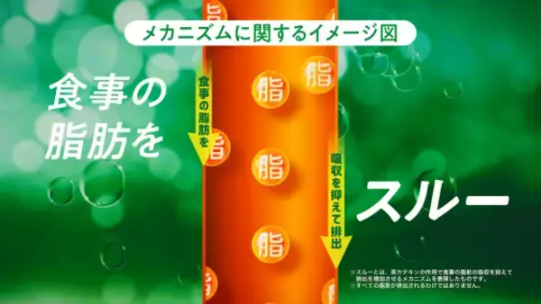 「AIタレントを起用した「お～いお茶 カテキン緑茶」のTV-CM第二弾！新作TV-CM「食事の脂肪をスルー」篇を、4月4日（木）より放映開始」の画像