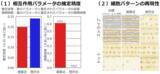「細胞の並びから、組織のでき方を逆算する新技術 ～組織形成の仕組み解明とiPS細胞由来の人工組織設計の加速に貢献～」の画像4
