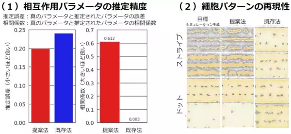 「細胞の並びから、組織のでき方を逆算する新技術 ～組織形成の仕組み解明とiPS細胞由来の人工組織設計の加速に貢献～」の画像